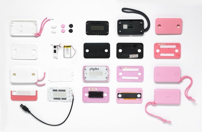 Flat lay of Pigzbe Crypto Storage Wallet parts